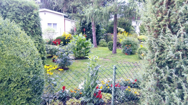 Growing Food in the Middle of the City - Poland 2