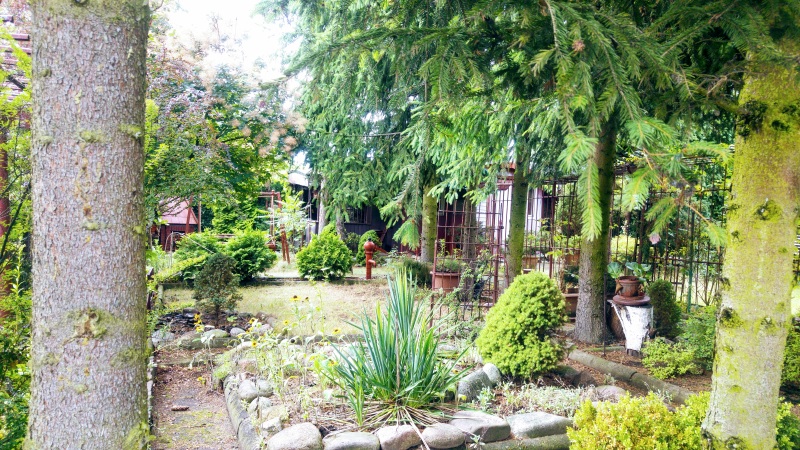 Growing Food in the Middle of the City - Poland